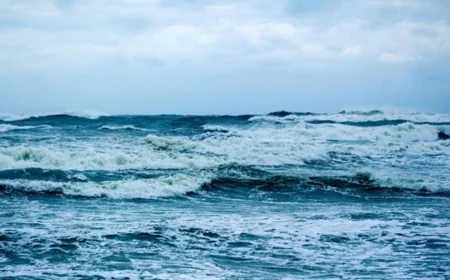 Okyanuslarda asitlenme tehlikesi: Bilim insanlarından acil eylem çağrısı