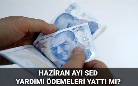 Haziran ayı SED ödemesi sorgulama 2025: SED ödemeleri yattı mı, ne zaman yatacak?