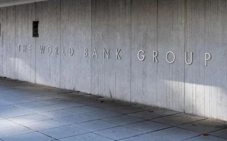 Türkiye ile Dünya Bankası'ndan orman yangınlarına yönelik işbirliği çalıştayı