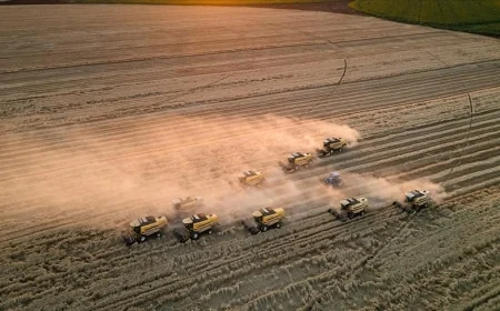 Tarım ÜFE mayısta arttı