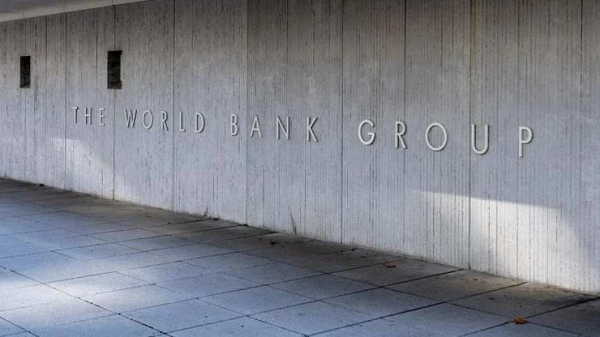 Türkiye ile Dünya Bankası'ndan orman yangınlarına yönelik işbirliği çalıştayı