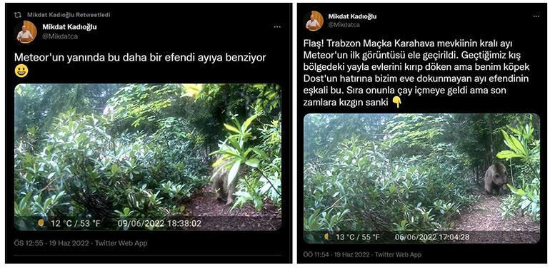 Önlem aldı ayıdan kurtuldu Prof. Dr. Kadıoğlu köyün diline düştü