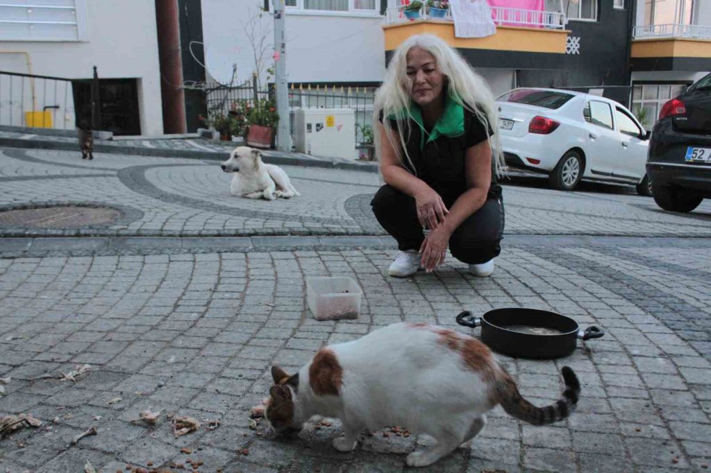 19 yıldır sokak kedilerine annelik yapıyor İhlas Haber Ajansı